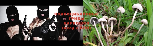 прущая мука Кинешма