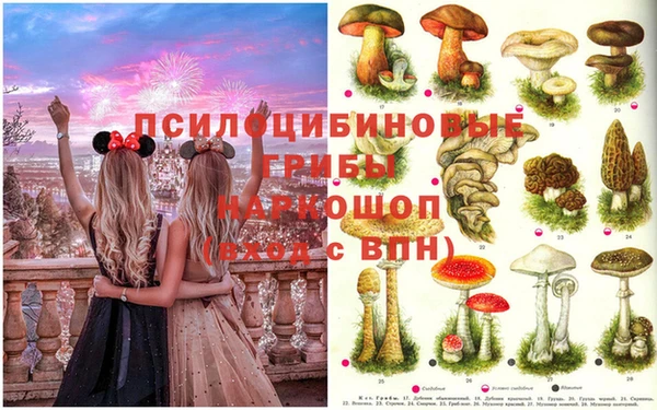 гидропоника Киреевск